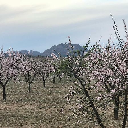 Cortijo De Los Castellanos Las Ventanas Kültér fotó