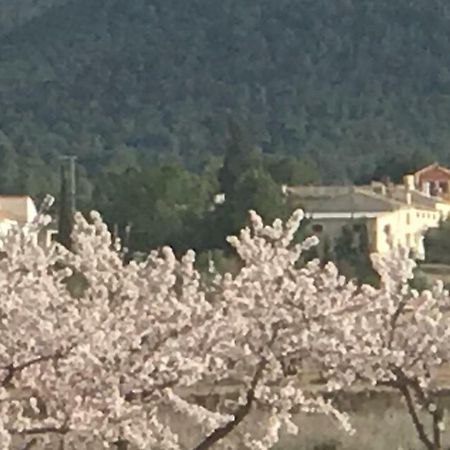 Cortijo De Los Castellanos Las Ventanas Kültér fotó