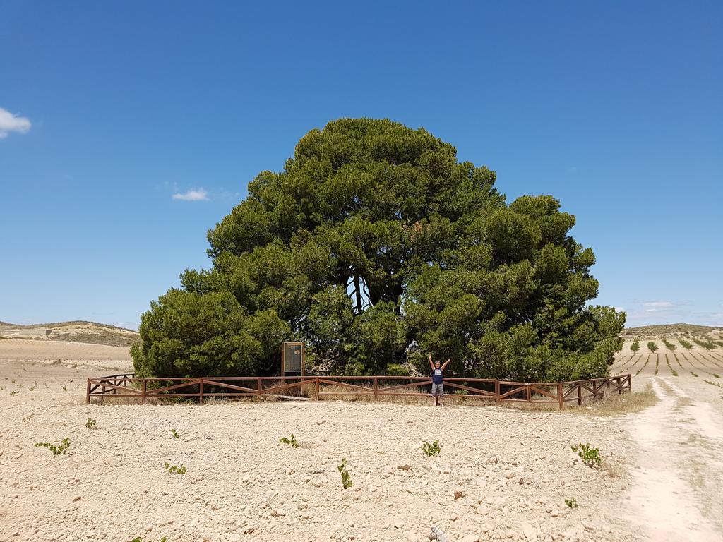 Cortijo De Los Castellanos Las Ventanas Kültér fotó