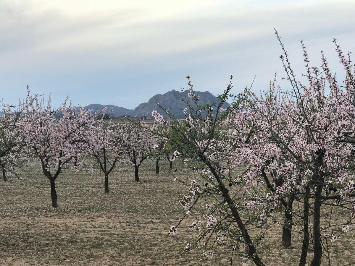 Cortijo De Los Castellanos Las Ventanas Kültér fotó